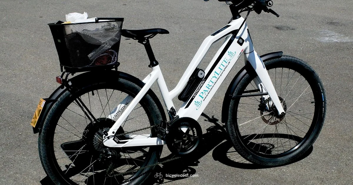 Upright Bike Guide - BicycleCost