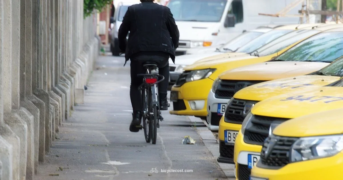 Hybrid Bike Guide - BicycleCost