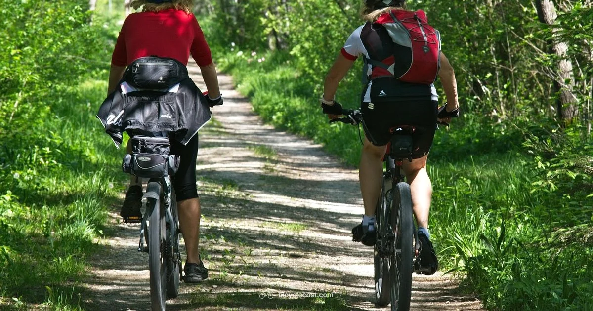 Get Your Bike Started - BicycleCost