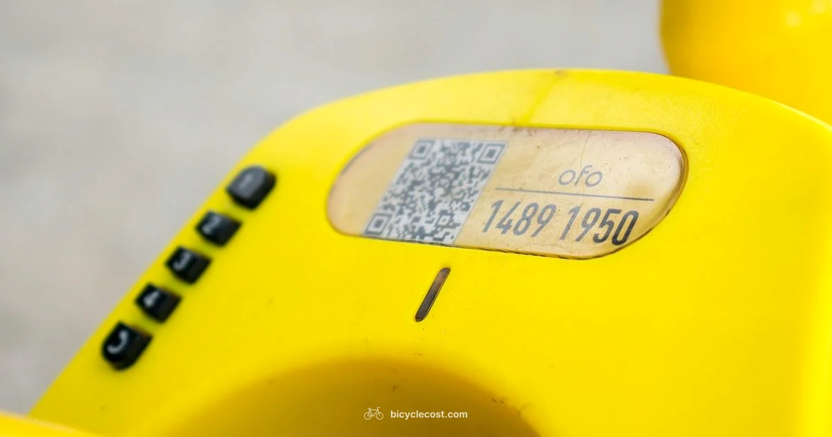 Bicycle in Uber Ride - BicycleCost