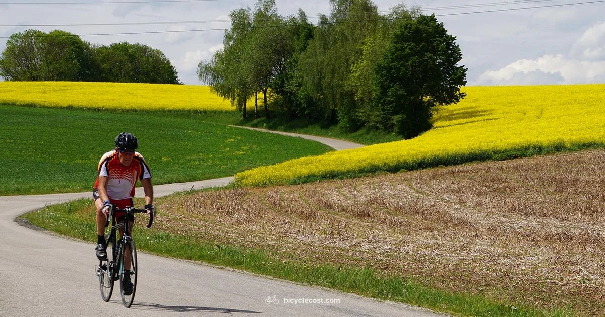 Race Sport Guide - BicycleCost