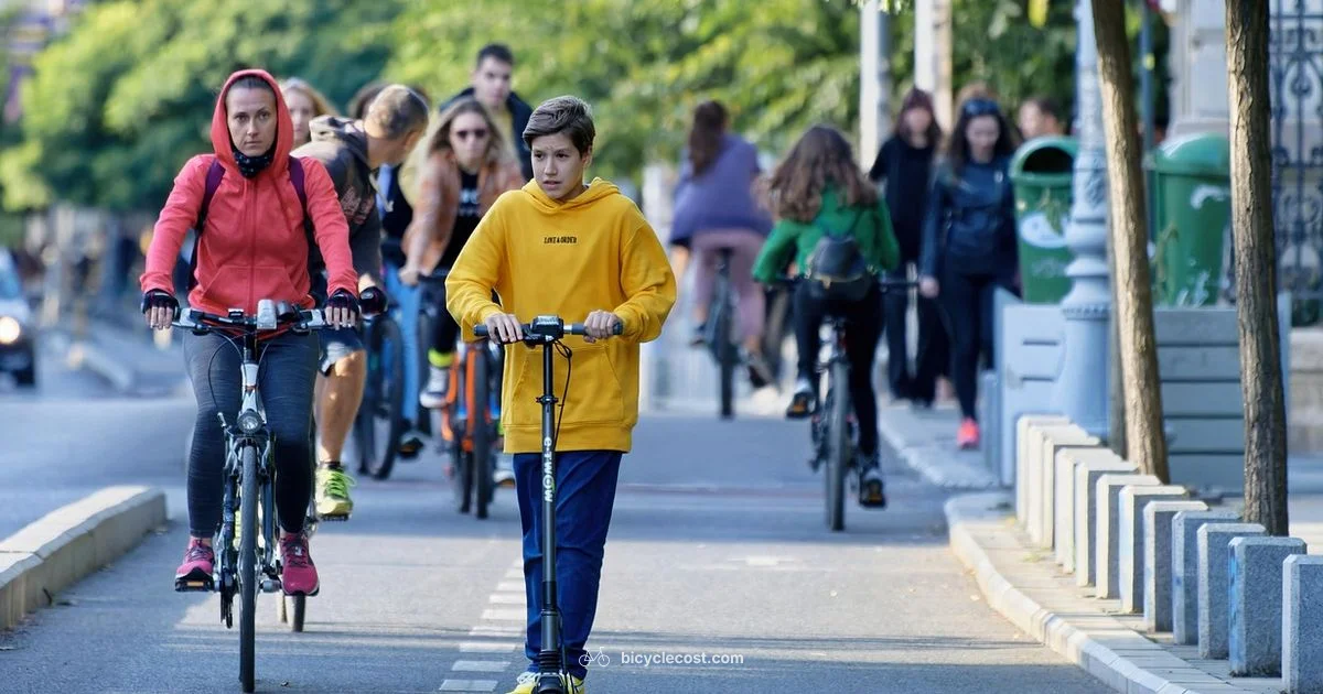 Electric Bike Ease - BicycleCost