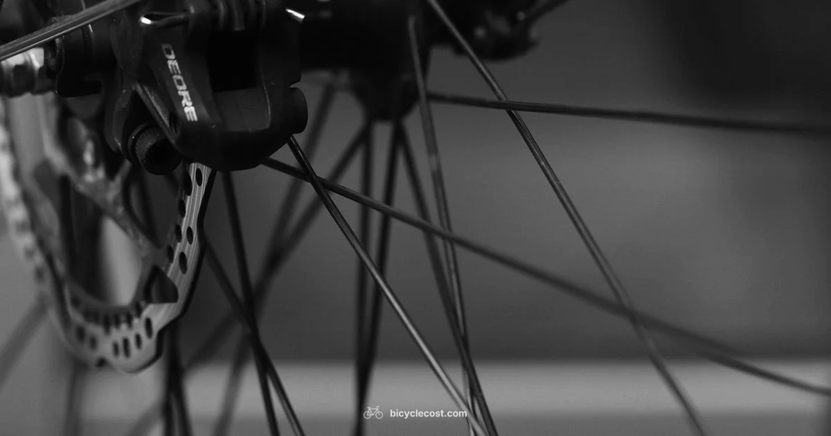 Tubeless Tire Check - BicycleCost