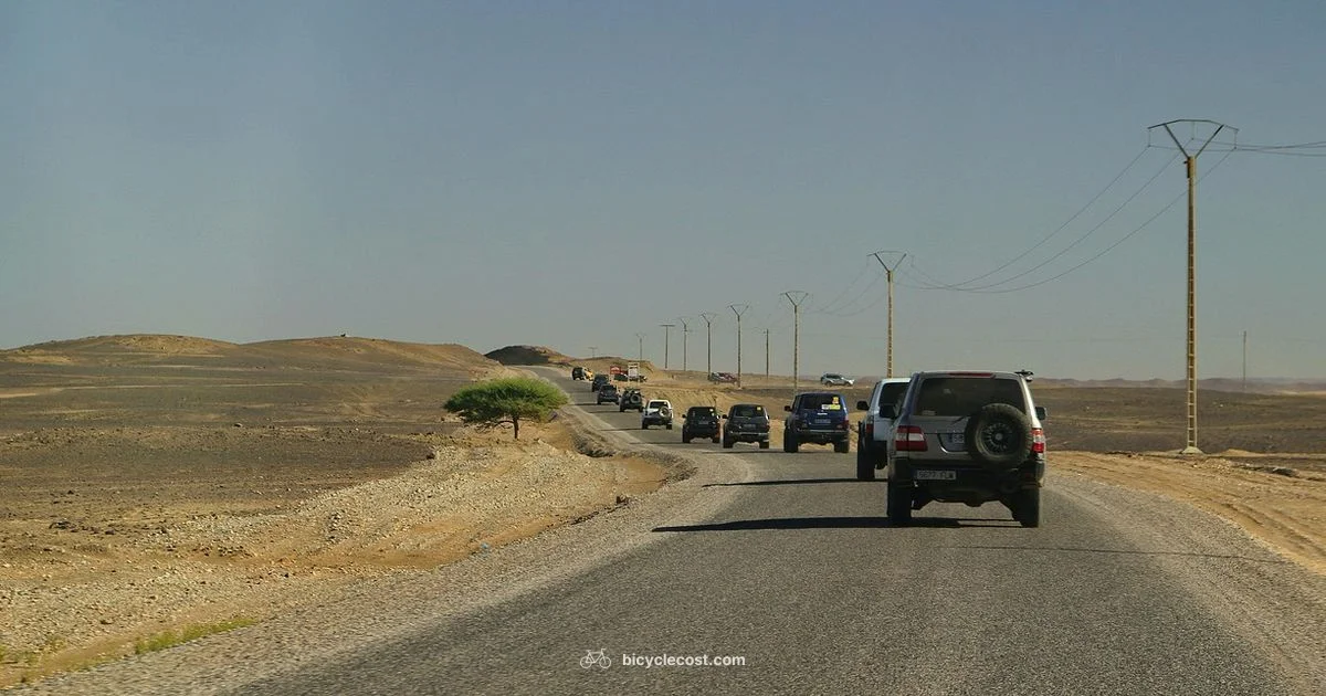 All Terrain Guide - BicycleCost