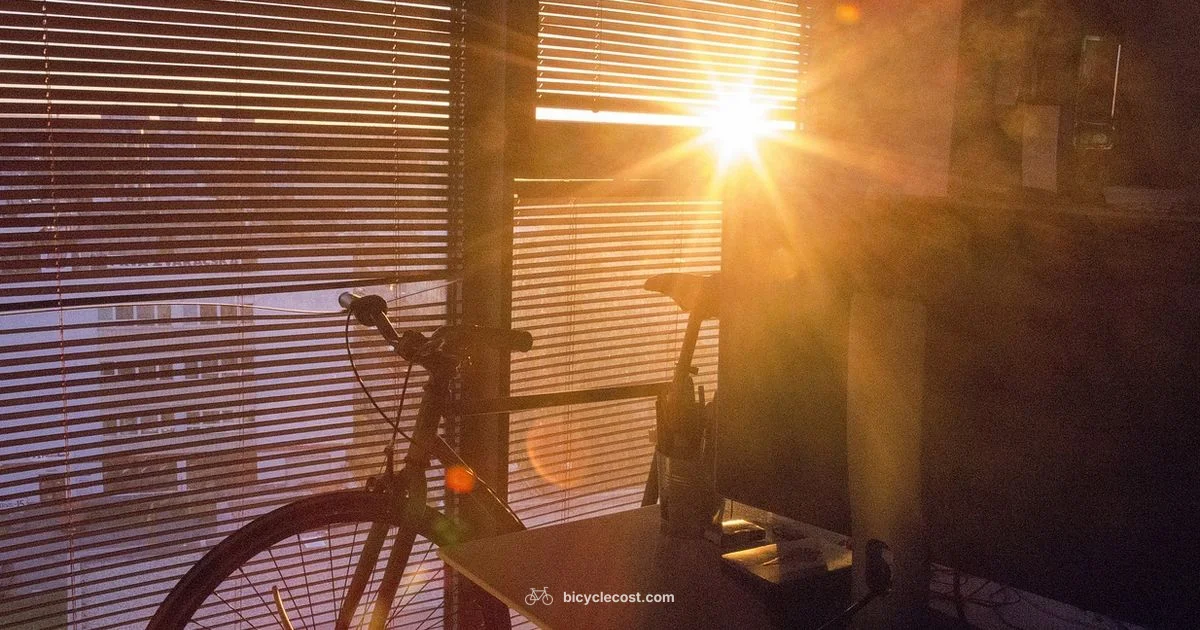 Used Bikes Guide - BicycleCost