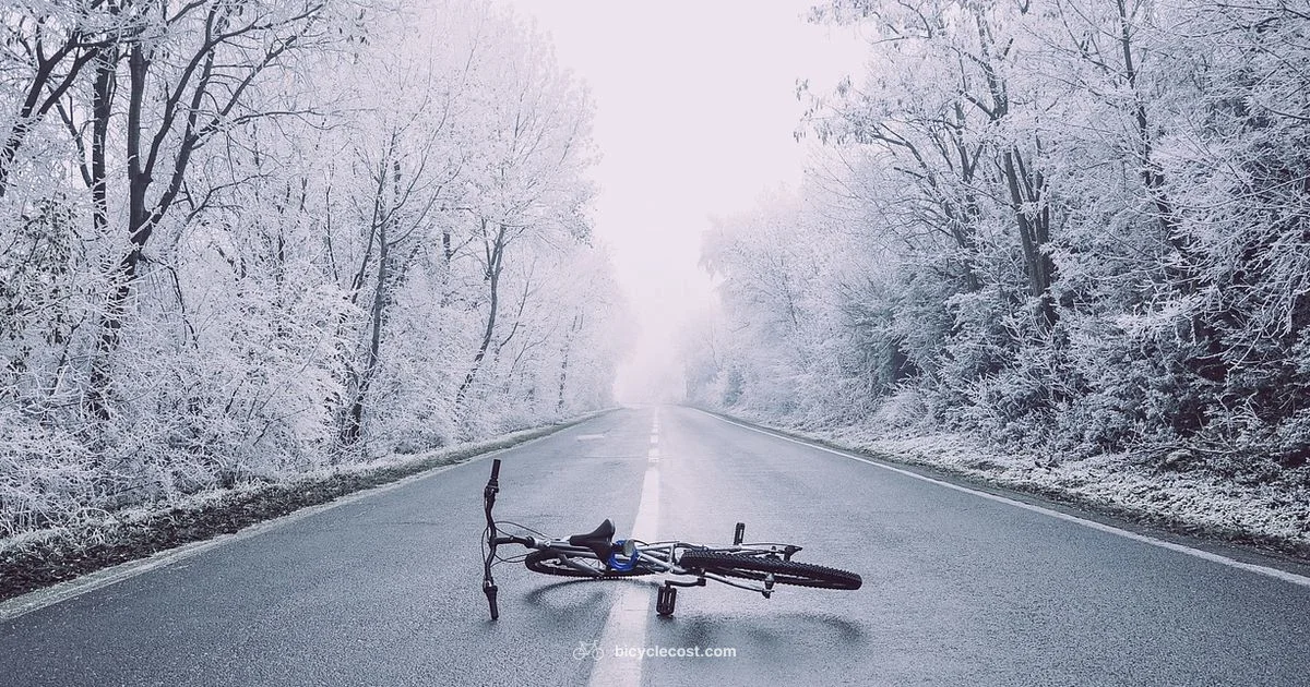 Bicycle vs Car - BicycleCost