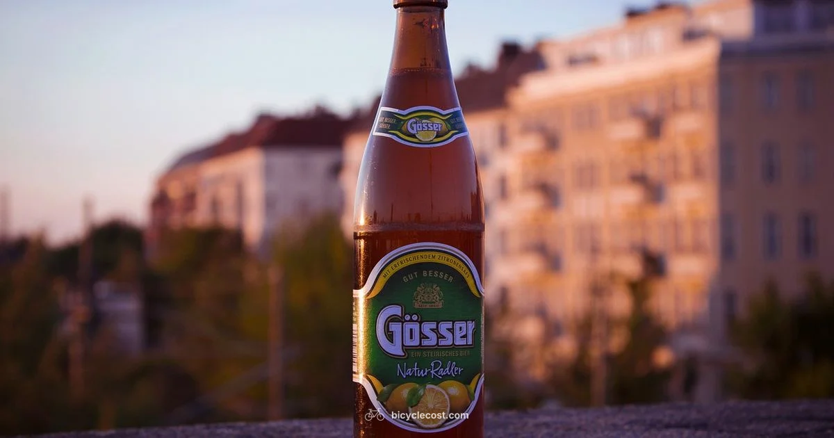 Bottle Cage Guide - BicycleCost