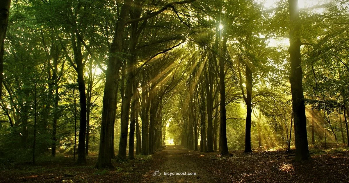 Nearby Trails Guide - BicycleCost