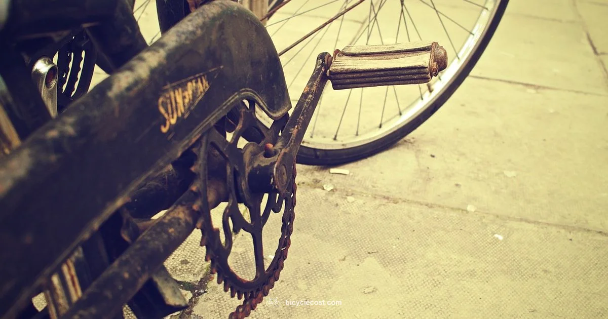 Chain Maintenance Guide - BicycleCost