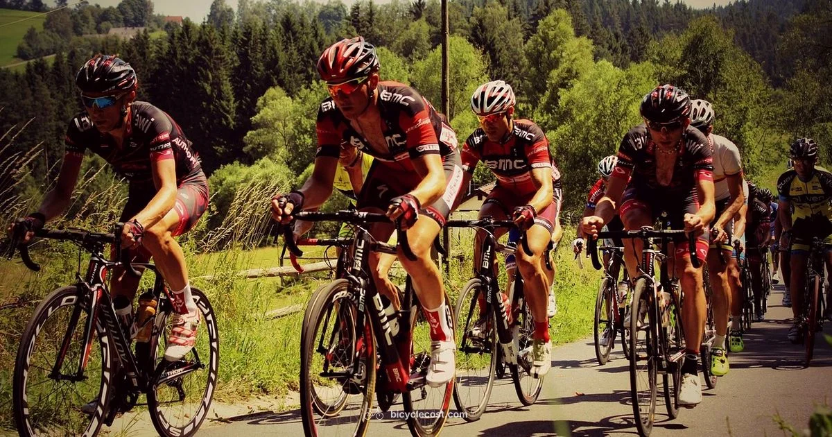 Belly Fat & Cycling - BicycleCost