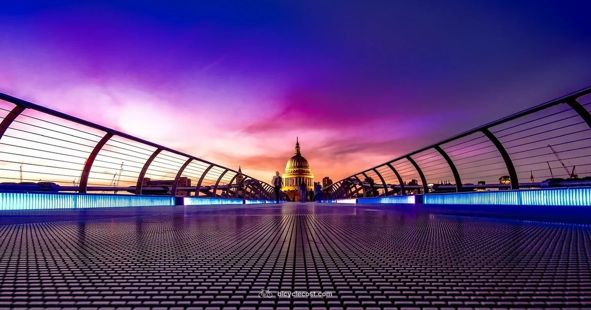 Powered Bicycles - BicycleCost