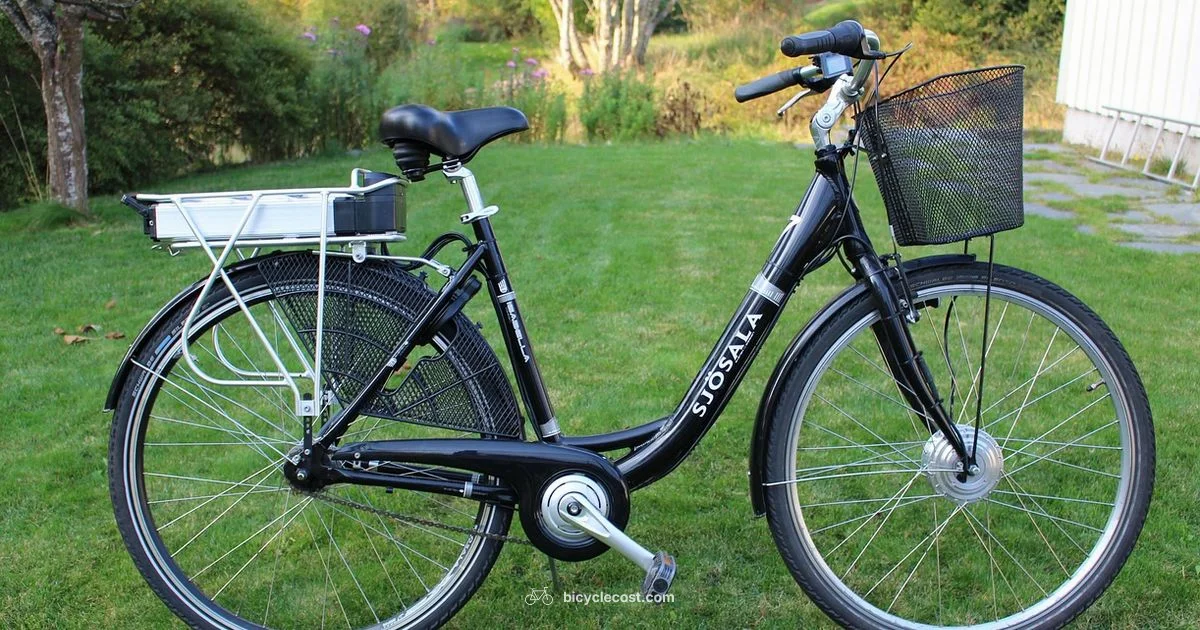 Electric Bike Kit Install - BicycleCost