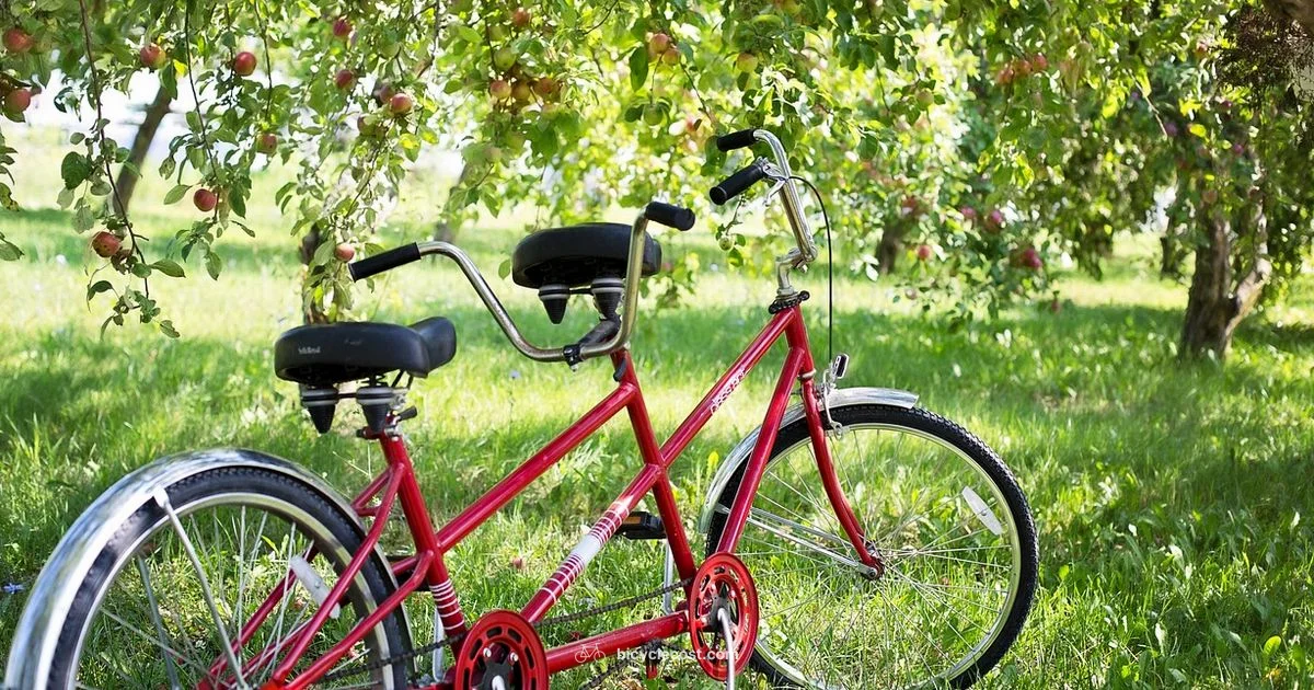 Tandem Language - BicycleCost