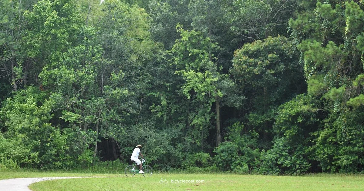 Bike Workout Essentials - BicycleCost