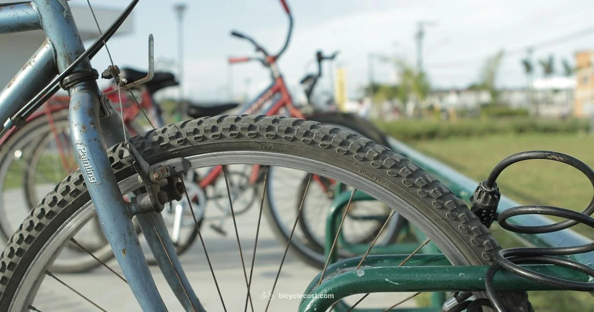 Cycling Hat Guide - BicycleCost