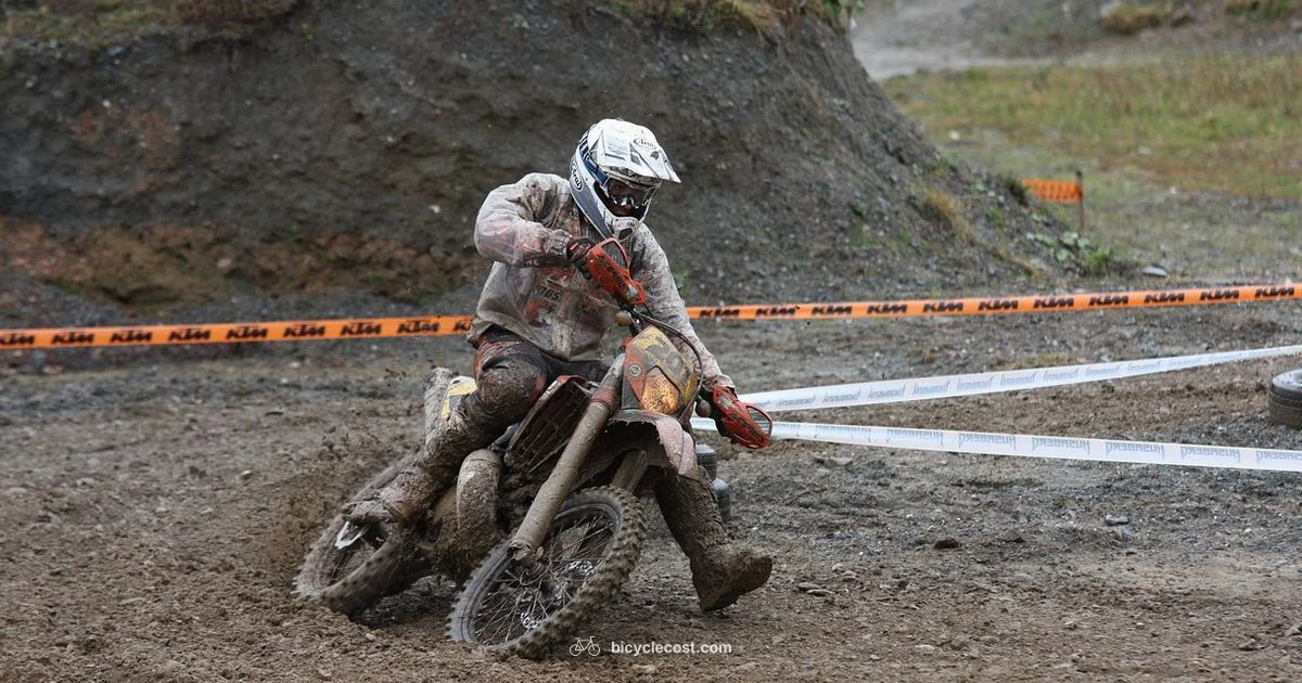 Bike Maintenance - BicycleCost