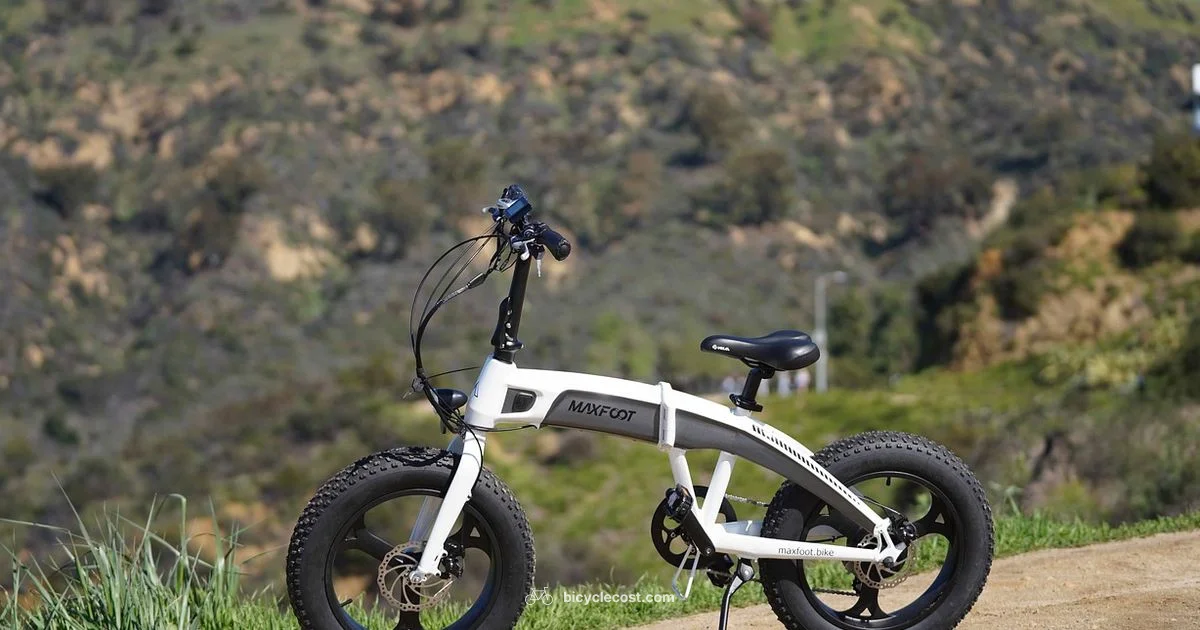 Bike on the Tube - BicycleCost