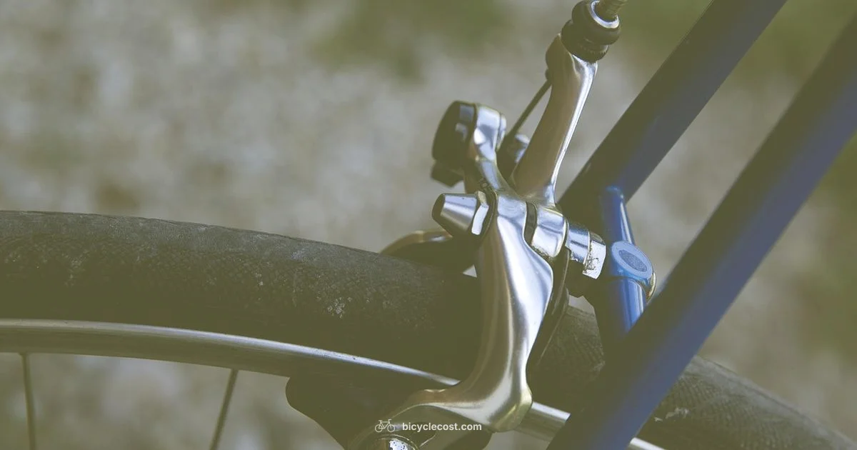 Brake Failure Guide - BicycleCost