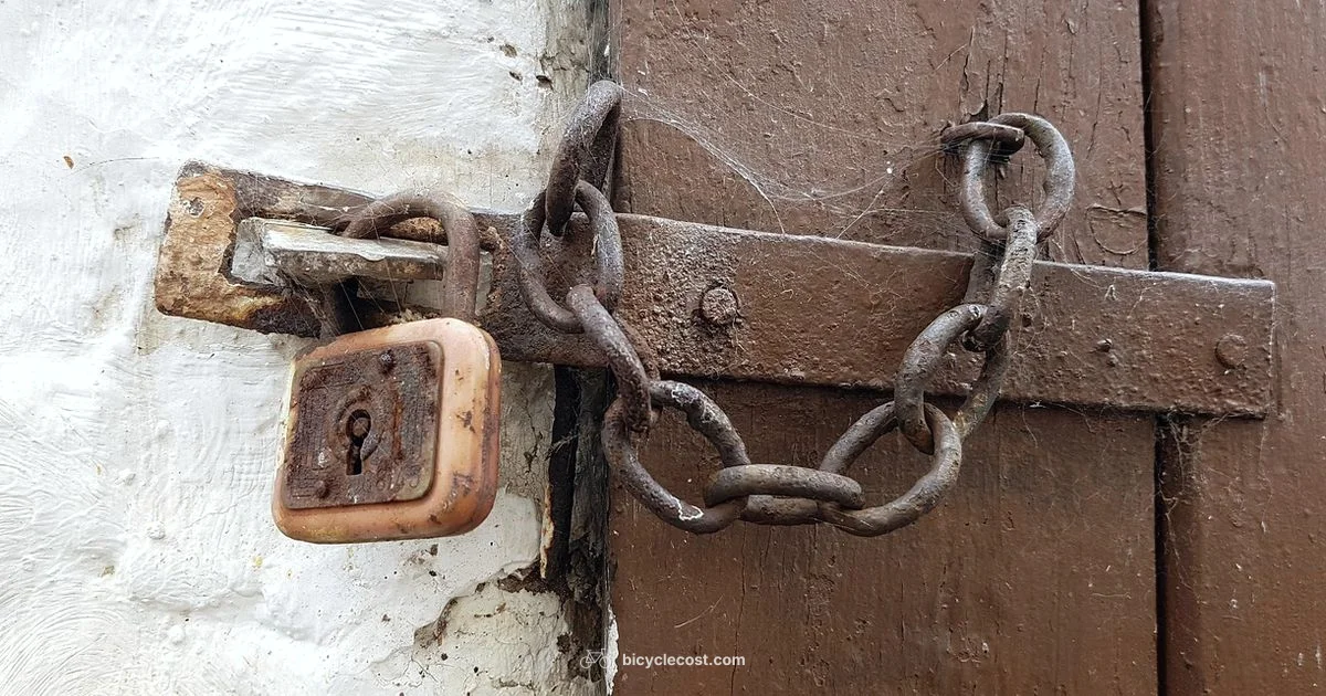 Secure Your Ride - BicycleCost