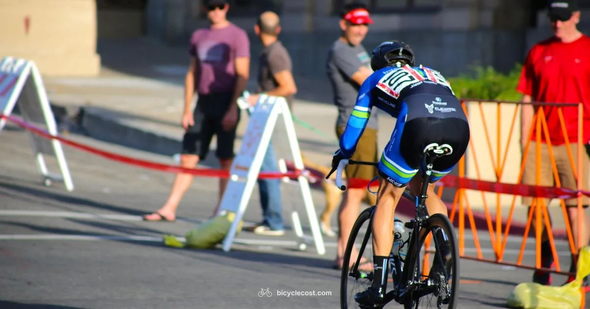 Bicycle vs Cycle terms - BicycleCost