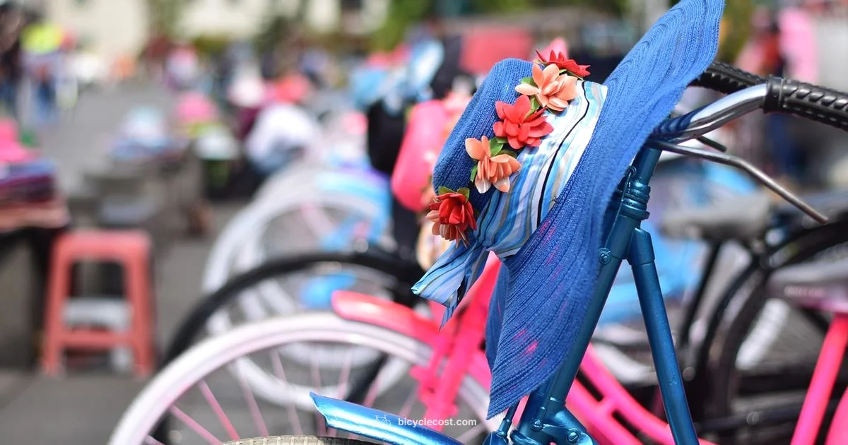 Three Wheel E Bike - BicycleCost