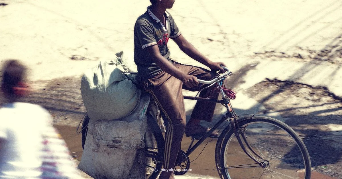 Recumbent vs Upright Comparison Recumbent vs Upright Comparison - BicycleCost