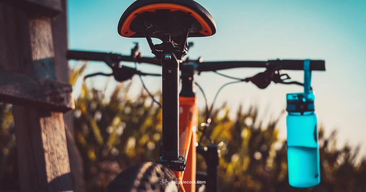 Cube E Mountain - BicycleCost