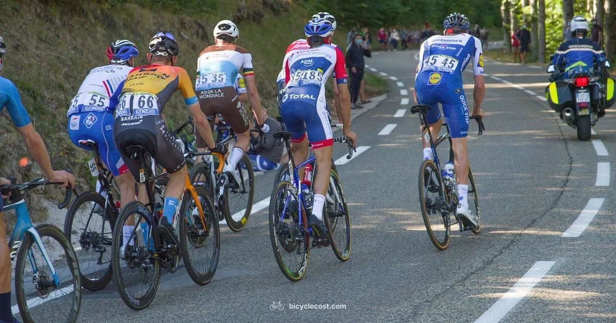 Fastest Bike Showdown - BicycleCost