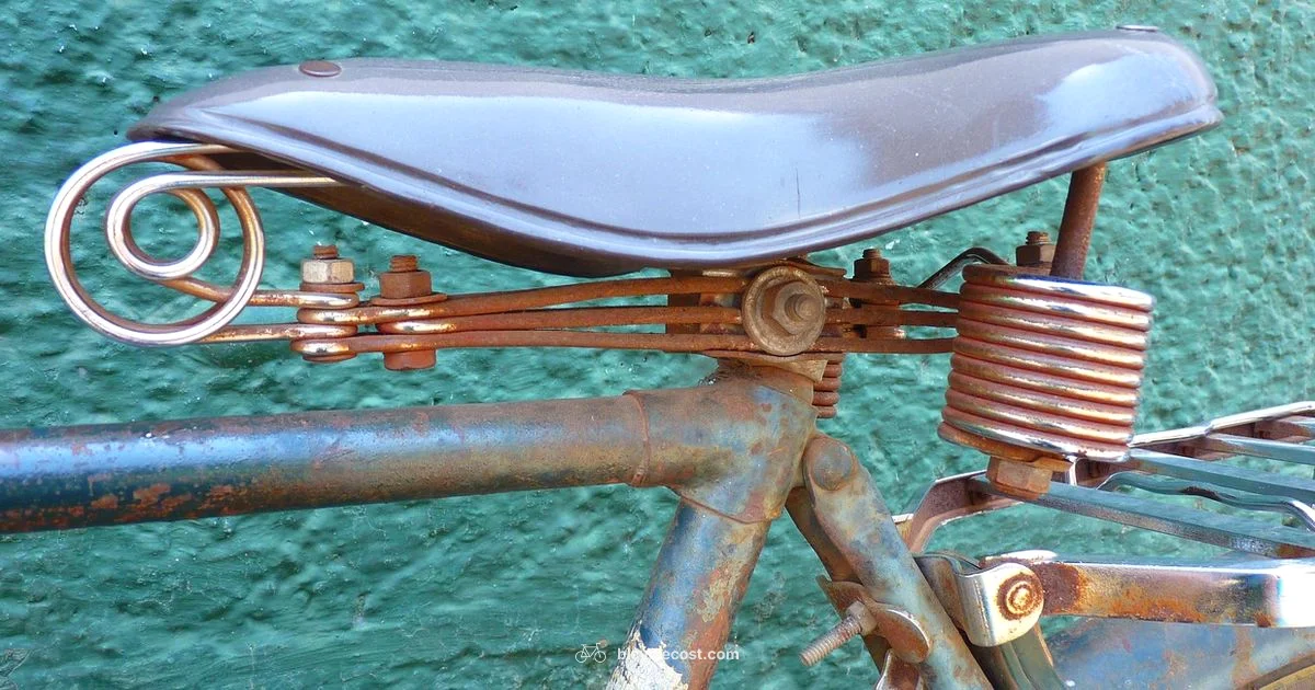 Saddle Comfort Guide - BicycleCost