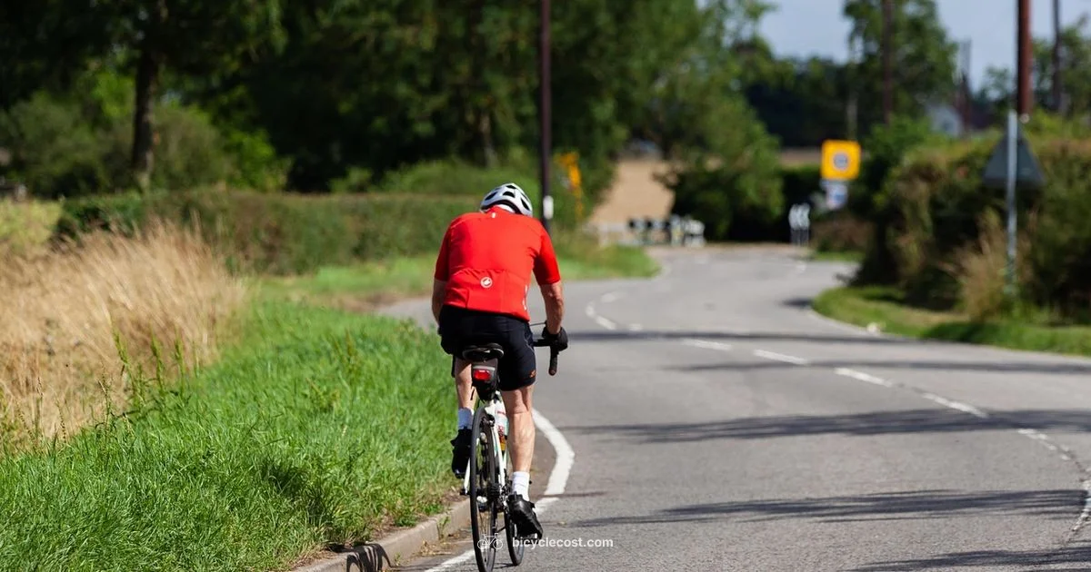 Bicycle DUI Guide - BicycleCost