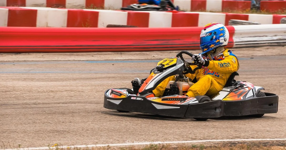 Bike vs Kart - BicycleCost