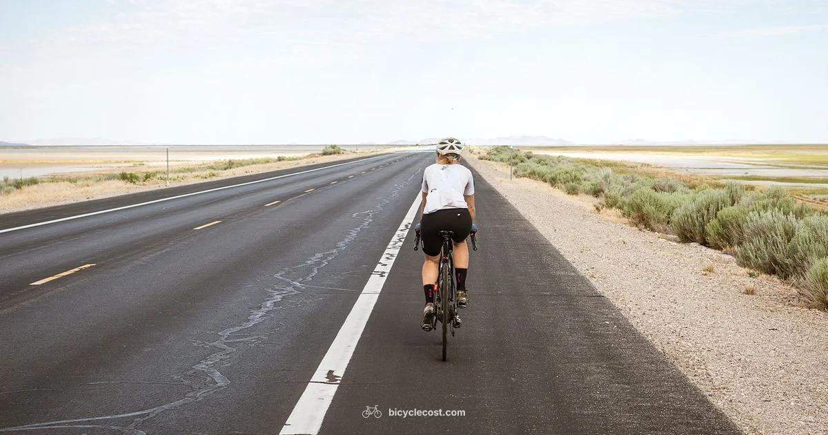 Highway Cycling - BicycleCost