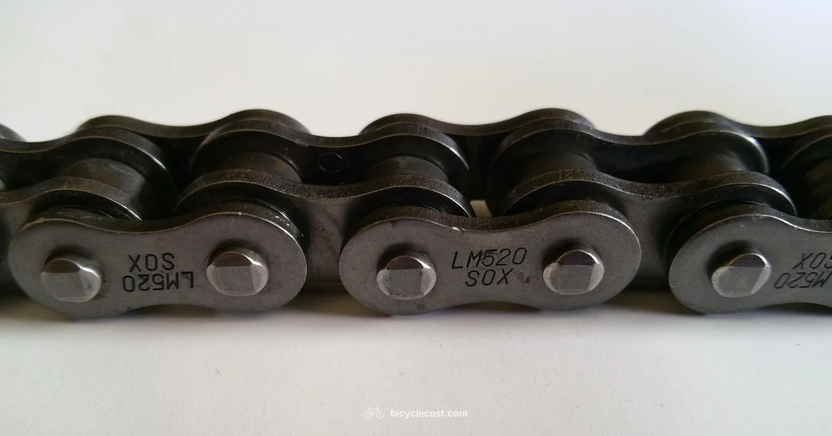 Chain Slip Fix - BicycleCost