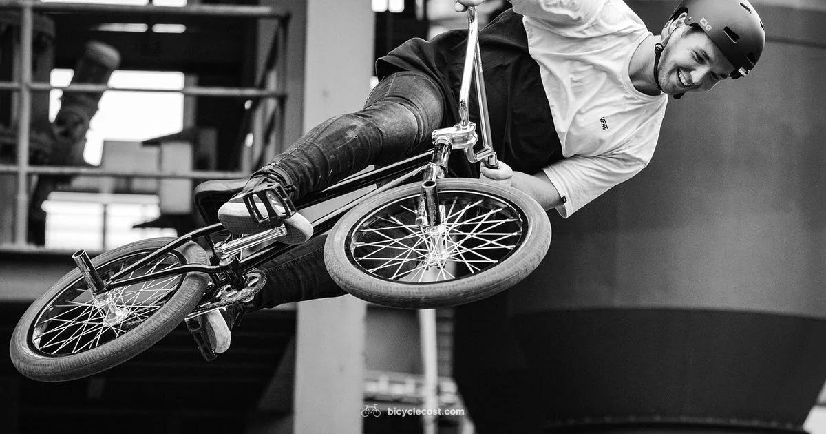 20 Inch BMX Guide - BicycleCost