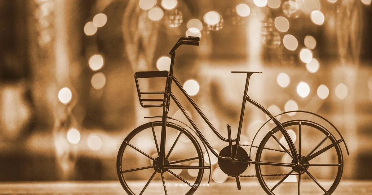 Frame ID Lookup - BicycleCost