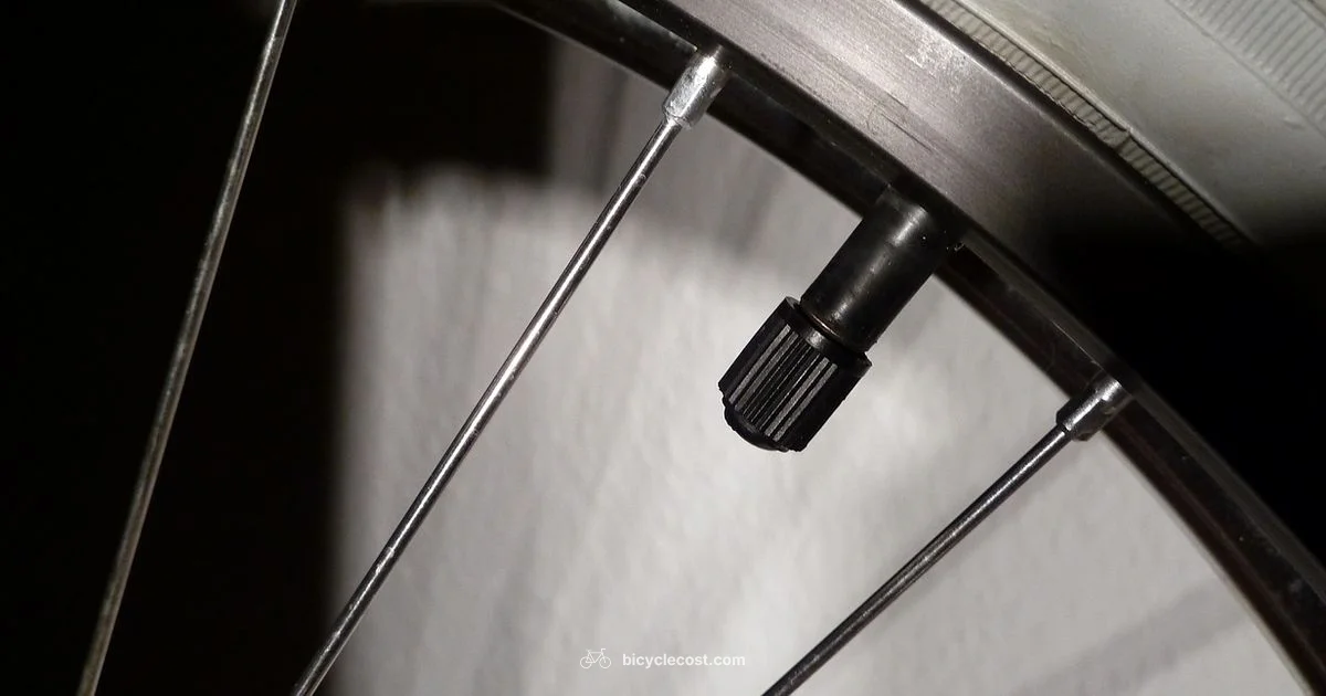 Valves Overview - BicycleCost