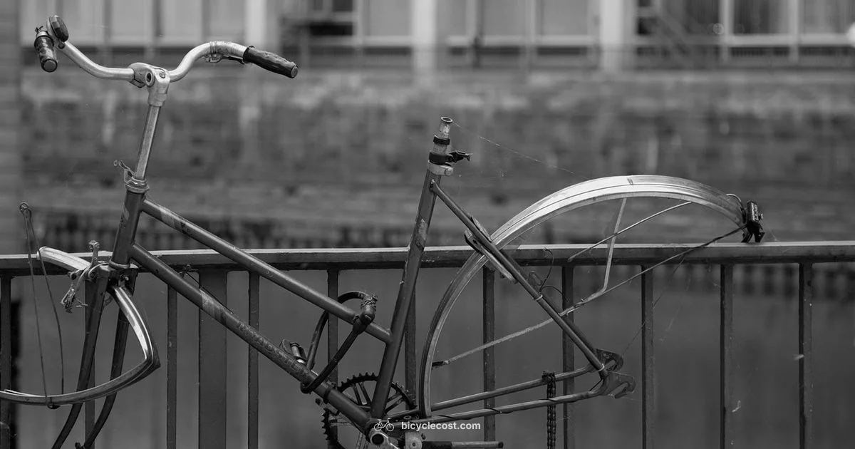 Bike Theft Check - BicycleCost