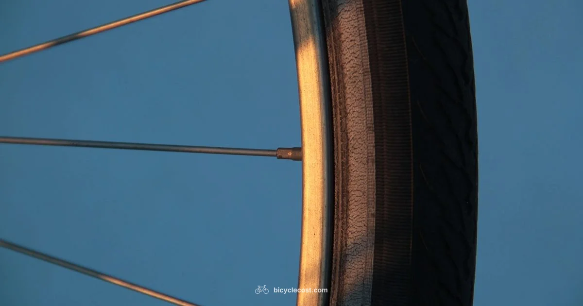 Wheel on Axle - BicycleCost