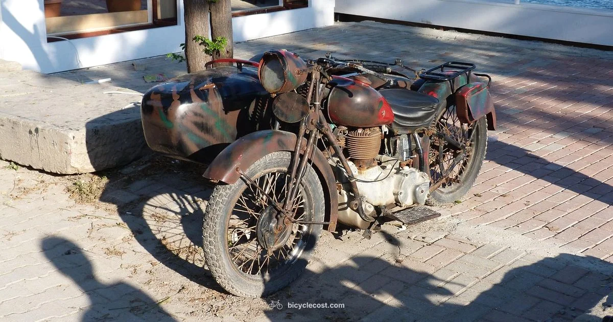 Rust Removal Guide - BicycleCost