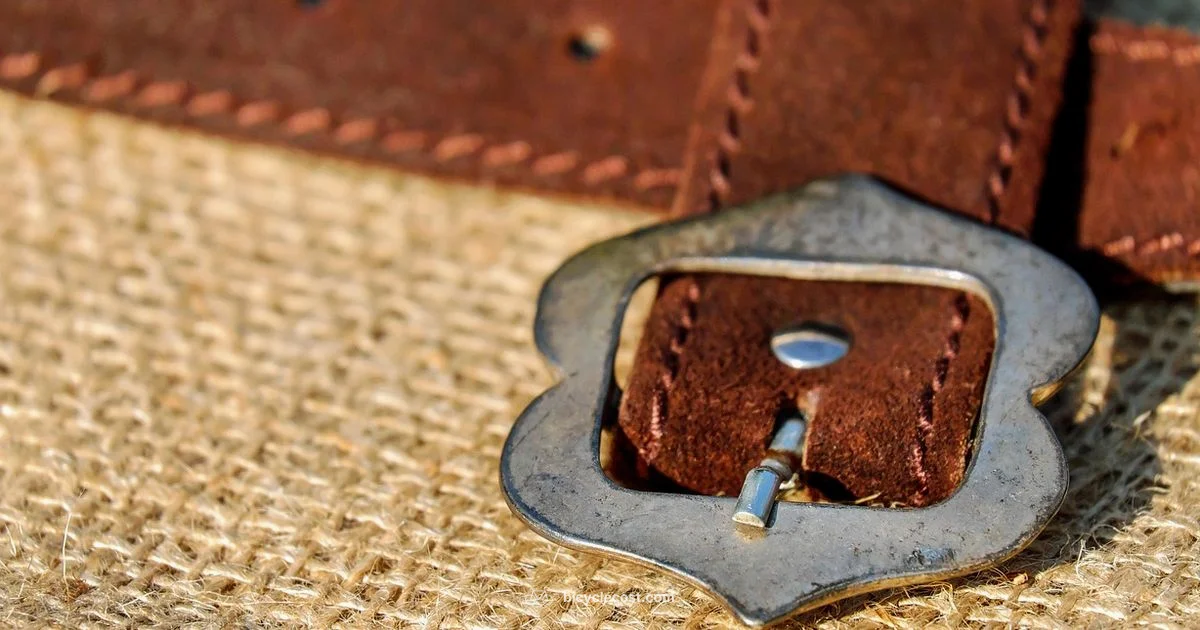 Belt Drive Basics - BicycleCost