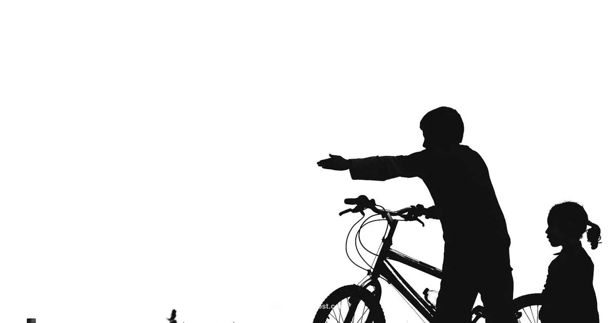 20-Inch Overview - BicycleCost