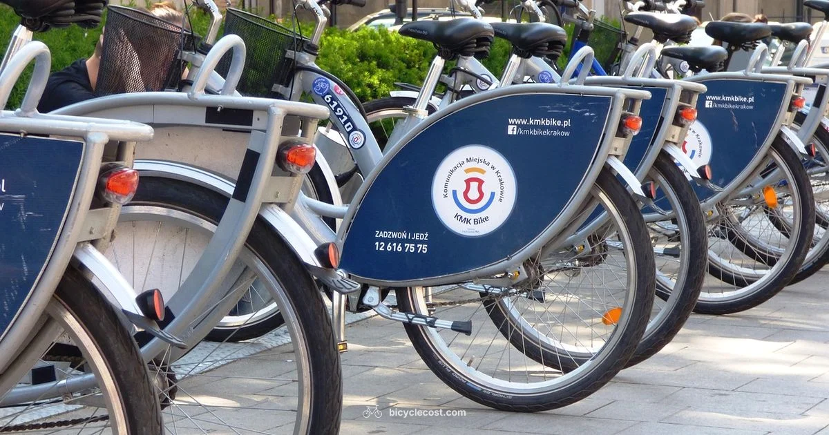 Bike on Bus - BicycleCost