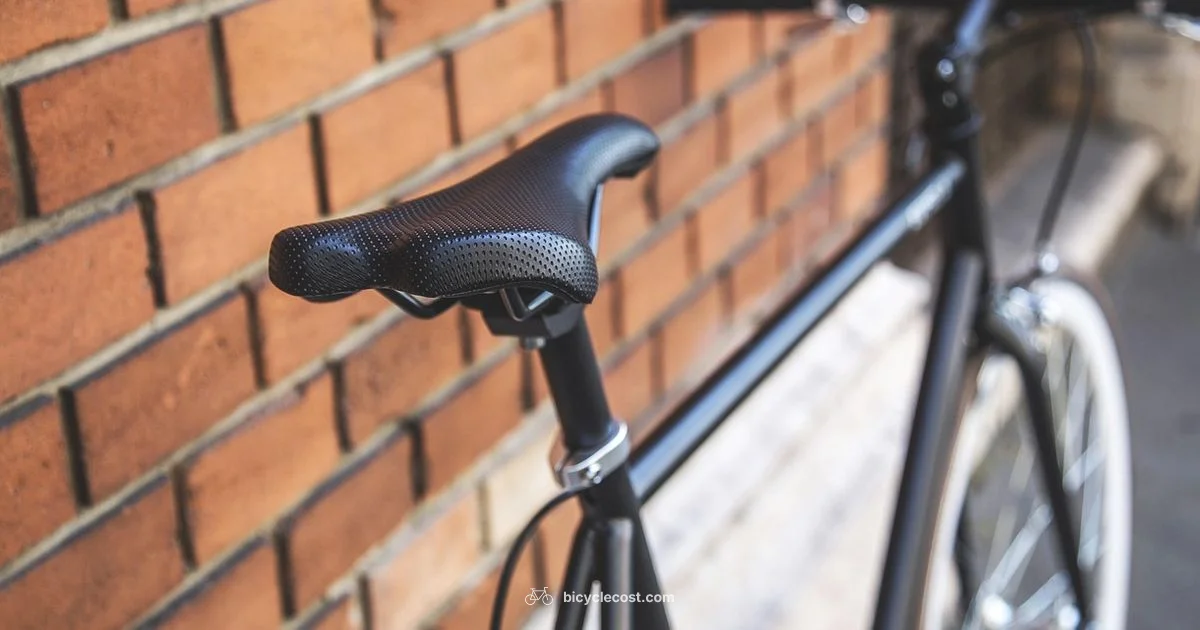 Best all-around bike - BicycleCost