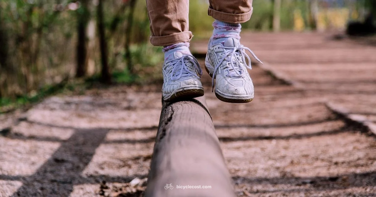 Learn Bicycle Basics - BicycleCost