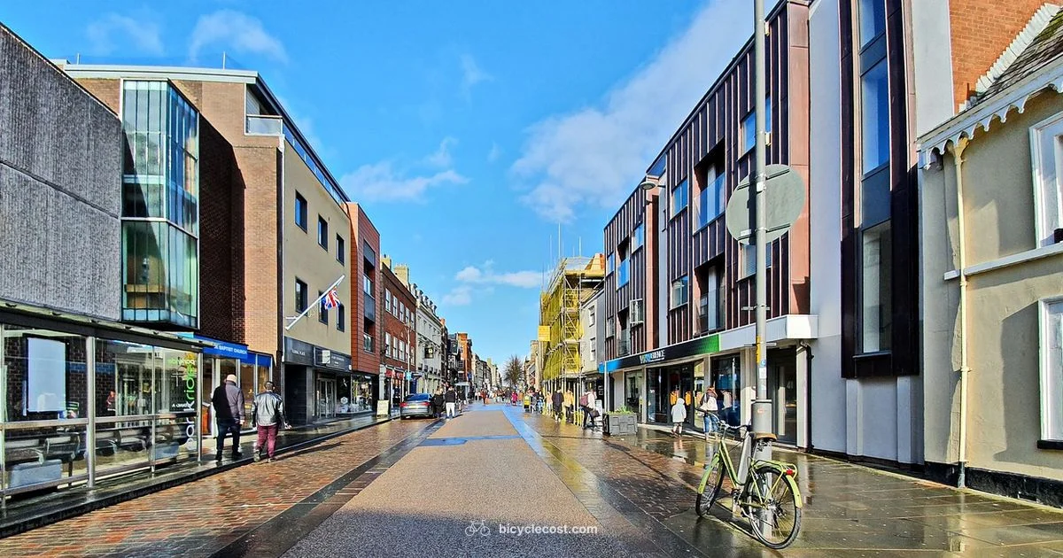 Sondors Bike Guide - BicycleCost