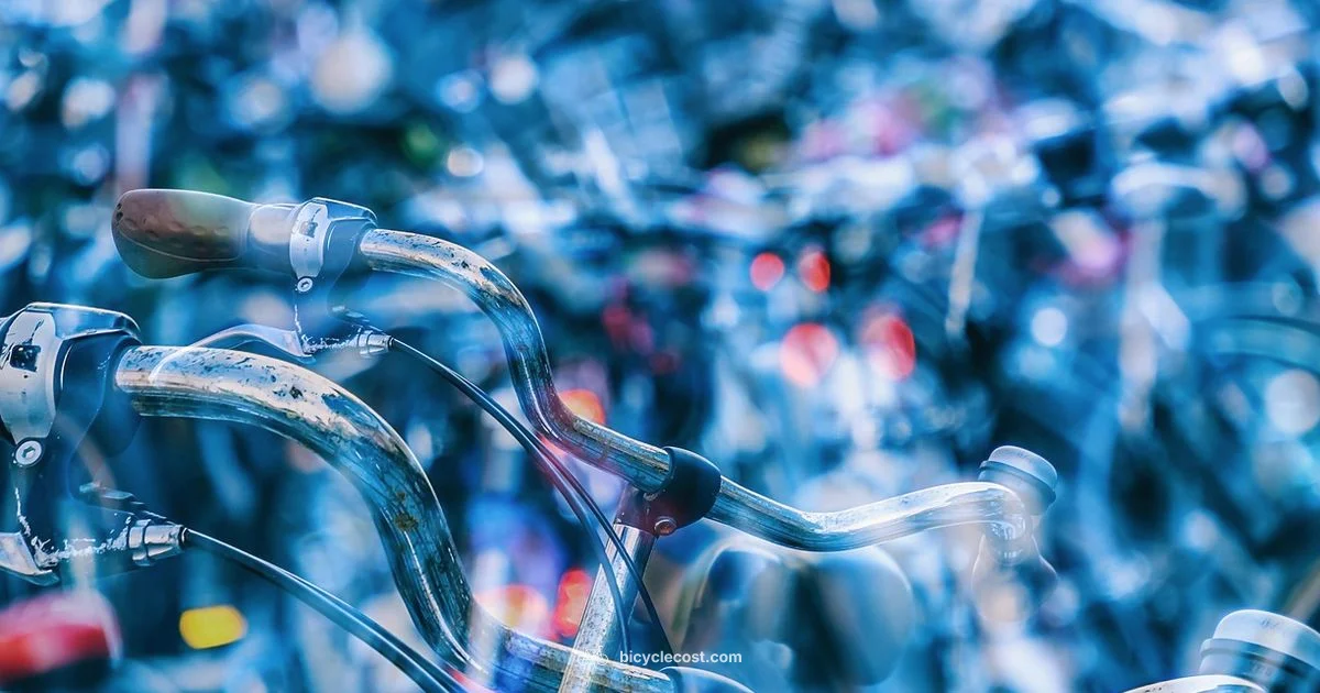 Echelon Bike Use - BicycleCost