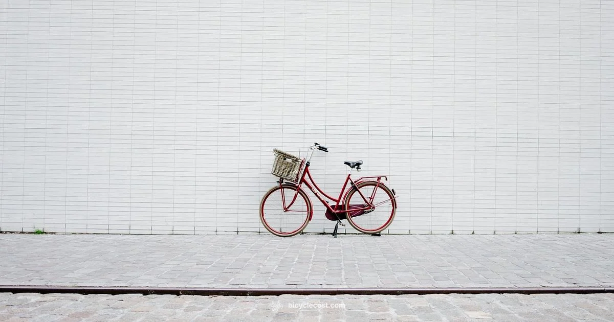 Harley-Inspired Bike - BicycleCost