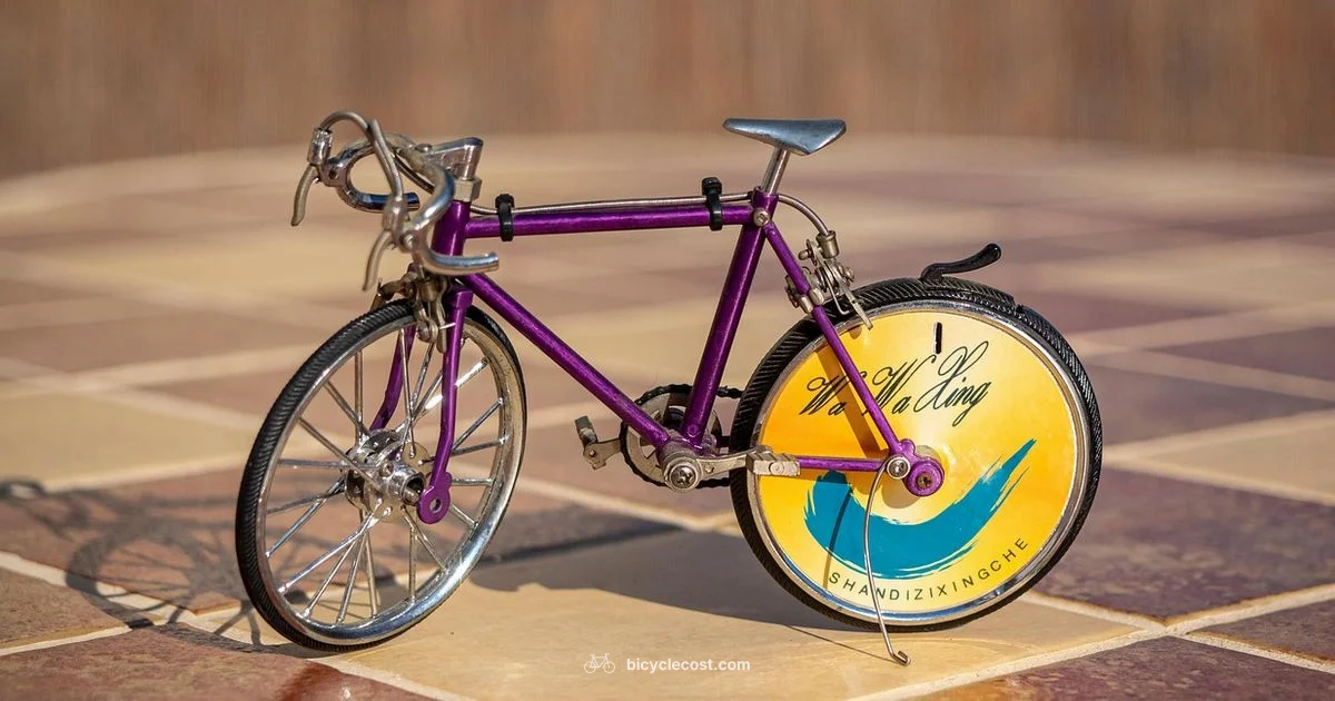 Right Bike Guide - BicycleCost