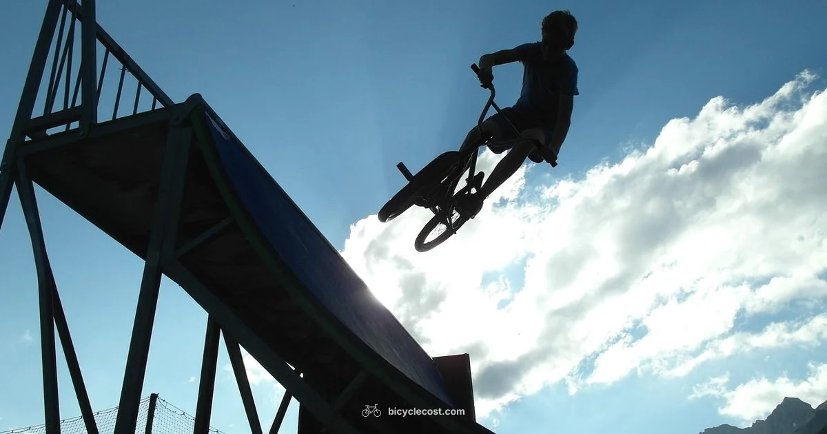 BMX Price Guide - BicycleCost